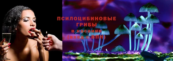 гидра Белокуриха
