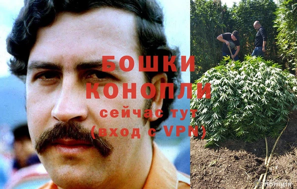 мяу мяу мука Беломорск