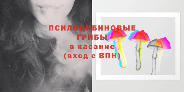 бошки Богородск