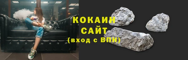 гидра Белокуриха