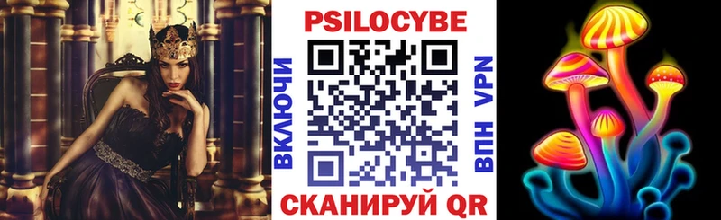hydra tor  Мышкин  Псилоцибиновые грибы ЛСД 
